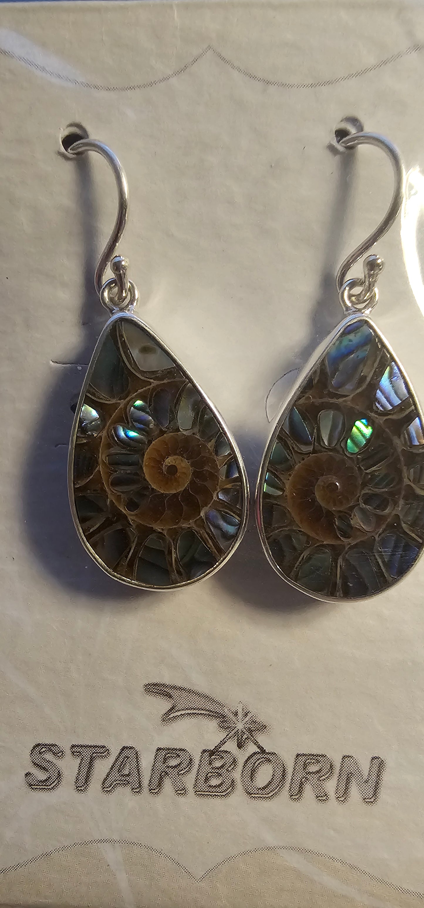 Ammonite with Abalone Shell Inlay
