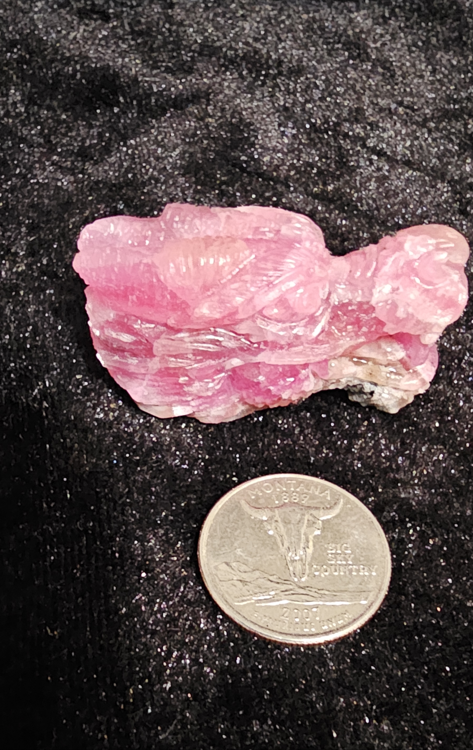 Pink Cabalto Calcite Carved Dragon Head