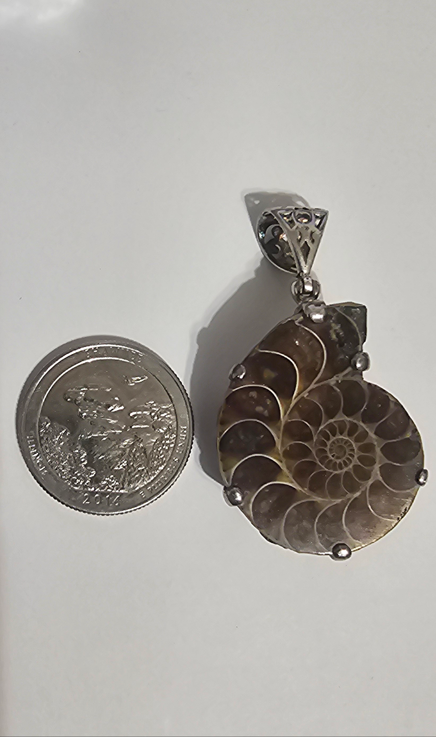 Ammonite Pendant