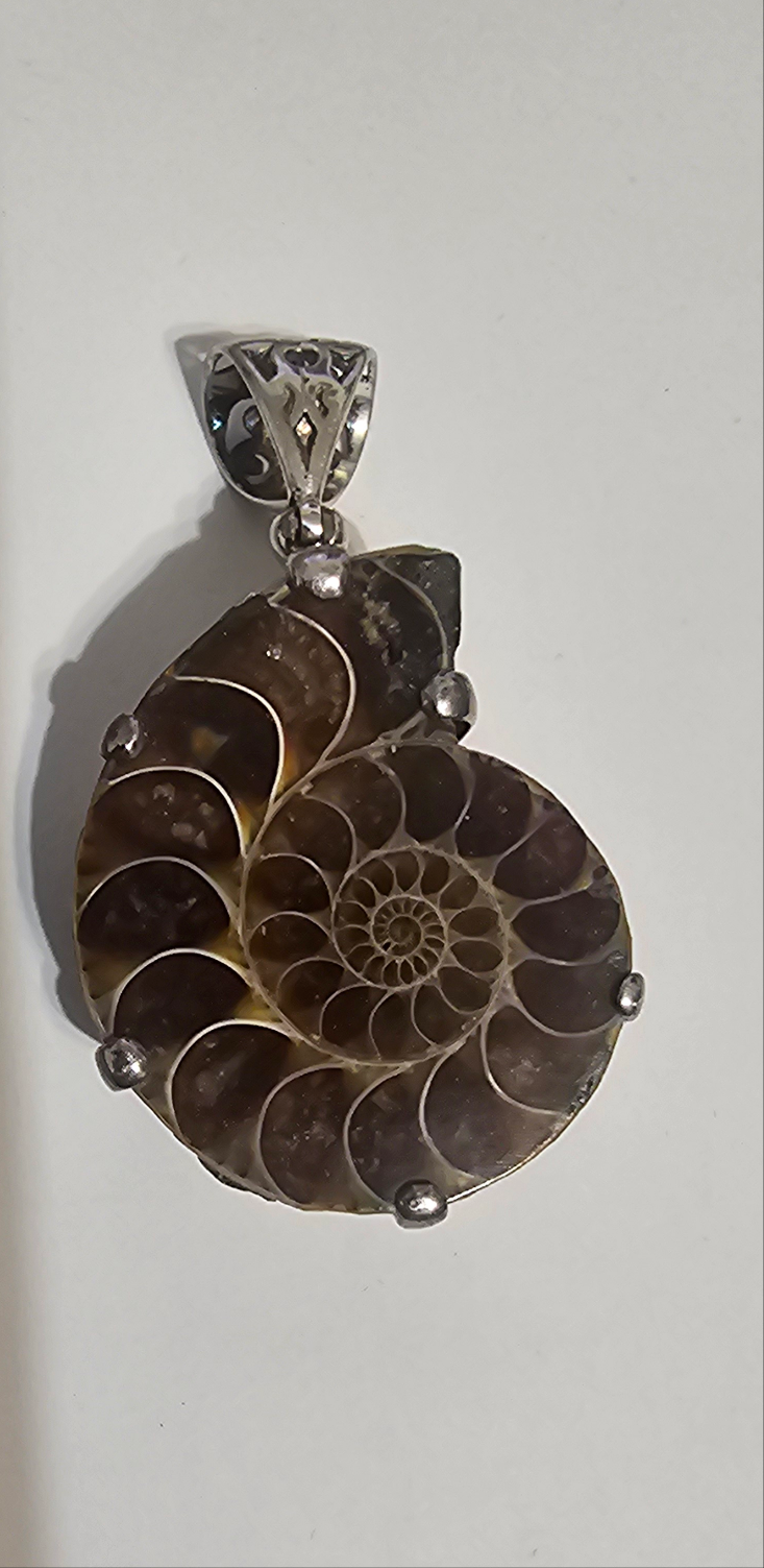 Ammonite Pendant