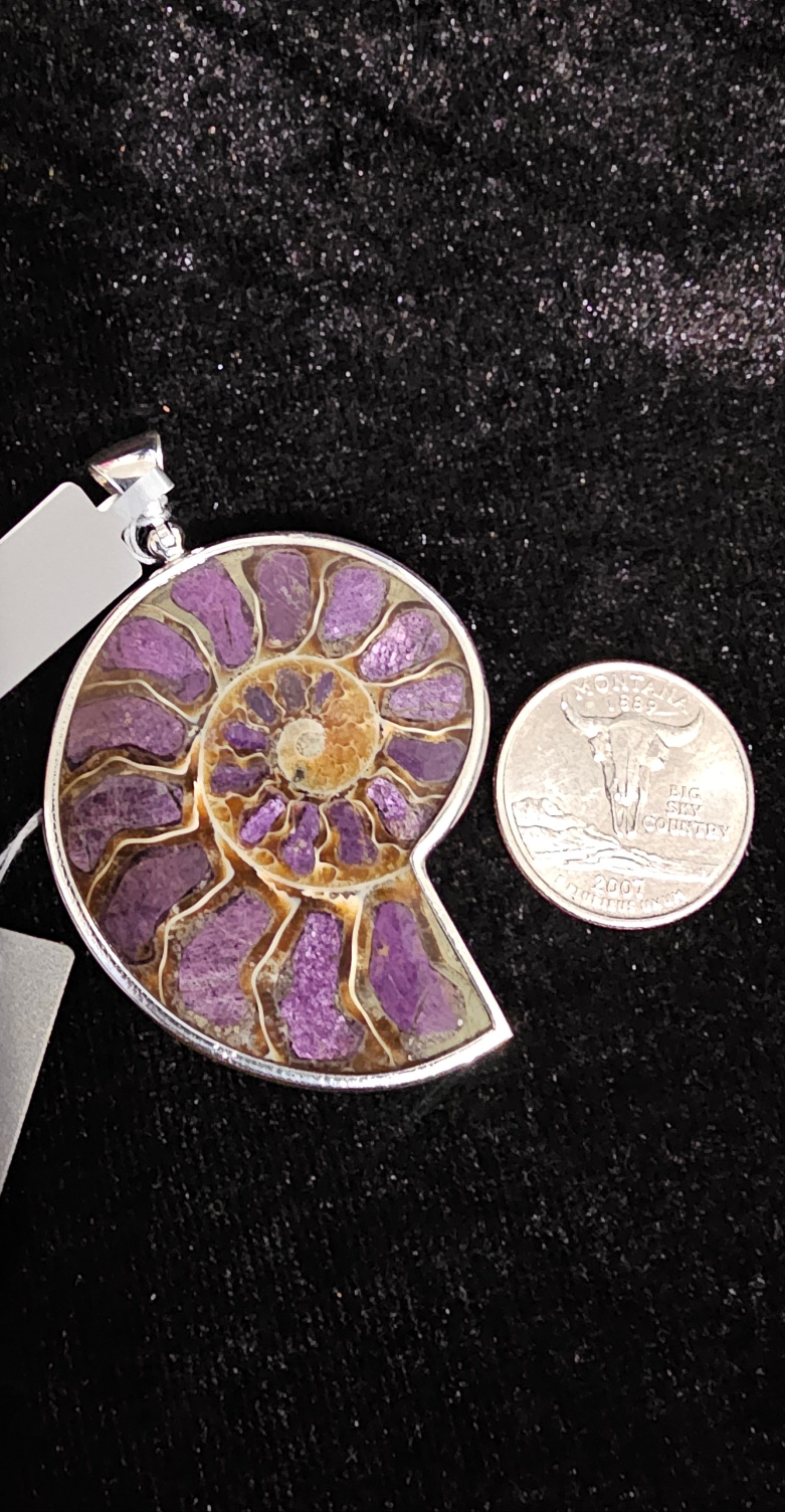 Ammonite inlaid with Purpurite Pendant