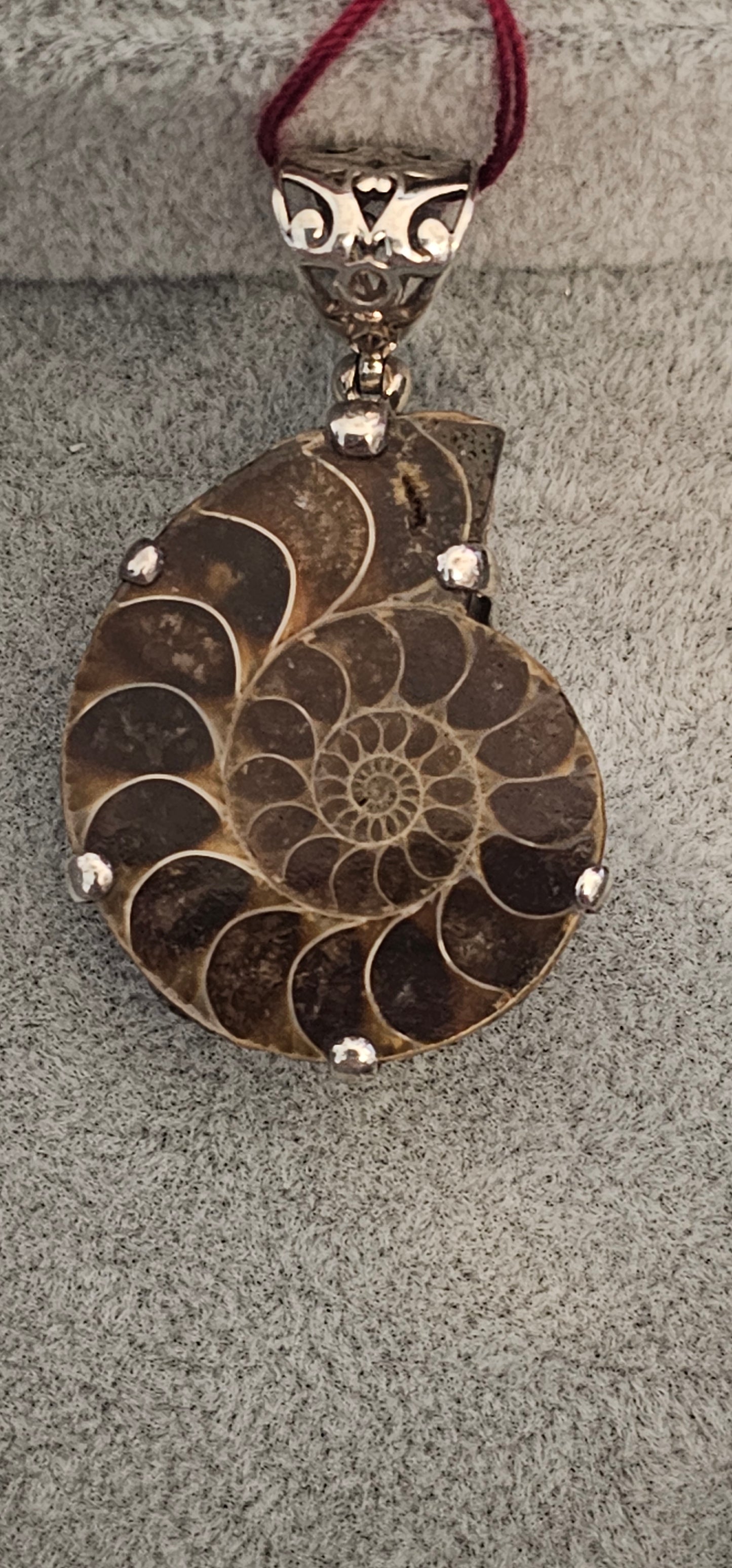 Ammonite pendant