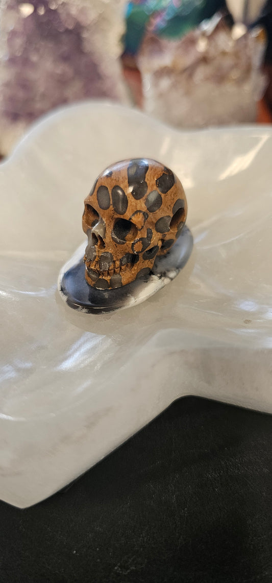 Petrified Coral Agate Hand carved Skullis skull pendant