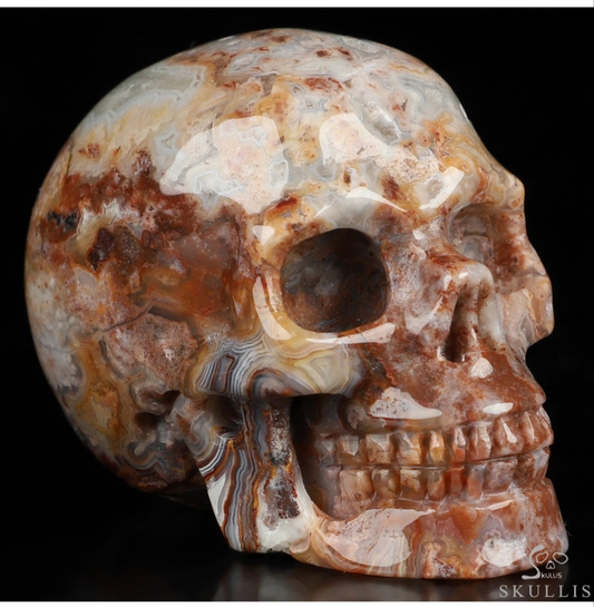 Red Crazy Lace Agate 2" Skullis, Hand Carved Crystal Skull, Realistic, Crystal Healing