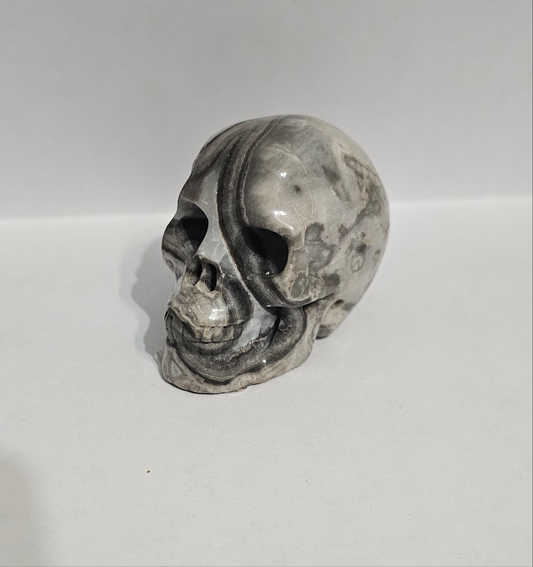 Crocodile Jasper 2" Skullis, Hand Carved Crystal Skull, Realistic, Crystal Healing
