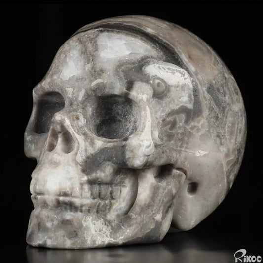 Crocodile Jasper 2" Skullis, Hand Carved Crystal Skull, Realistic, Crystal Healing